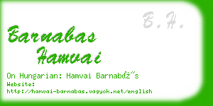 barnabas hamvai business card